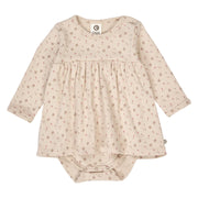 Aster ribjurk- Musli