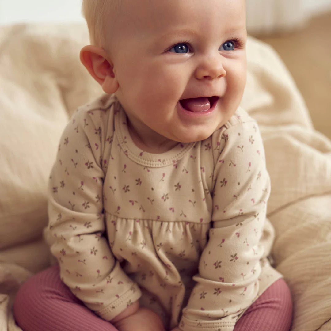 Aster ribjurk- Musli