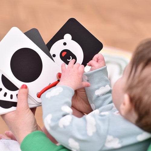 Banana Panda Banana Panda 10 Hoog Contrast Kijk en Voel Babyboek Kaarten met 20 afbeeldingen / Zwart Wit Baby Speelgoed Boekje vanaf 0 maanden - 9x14cm